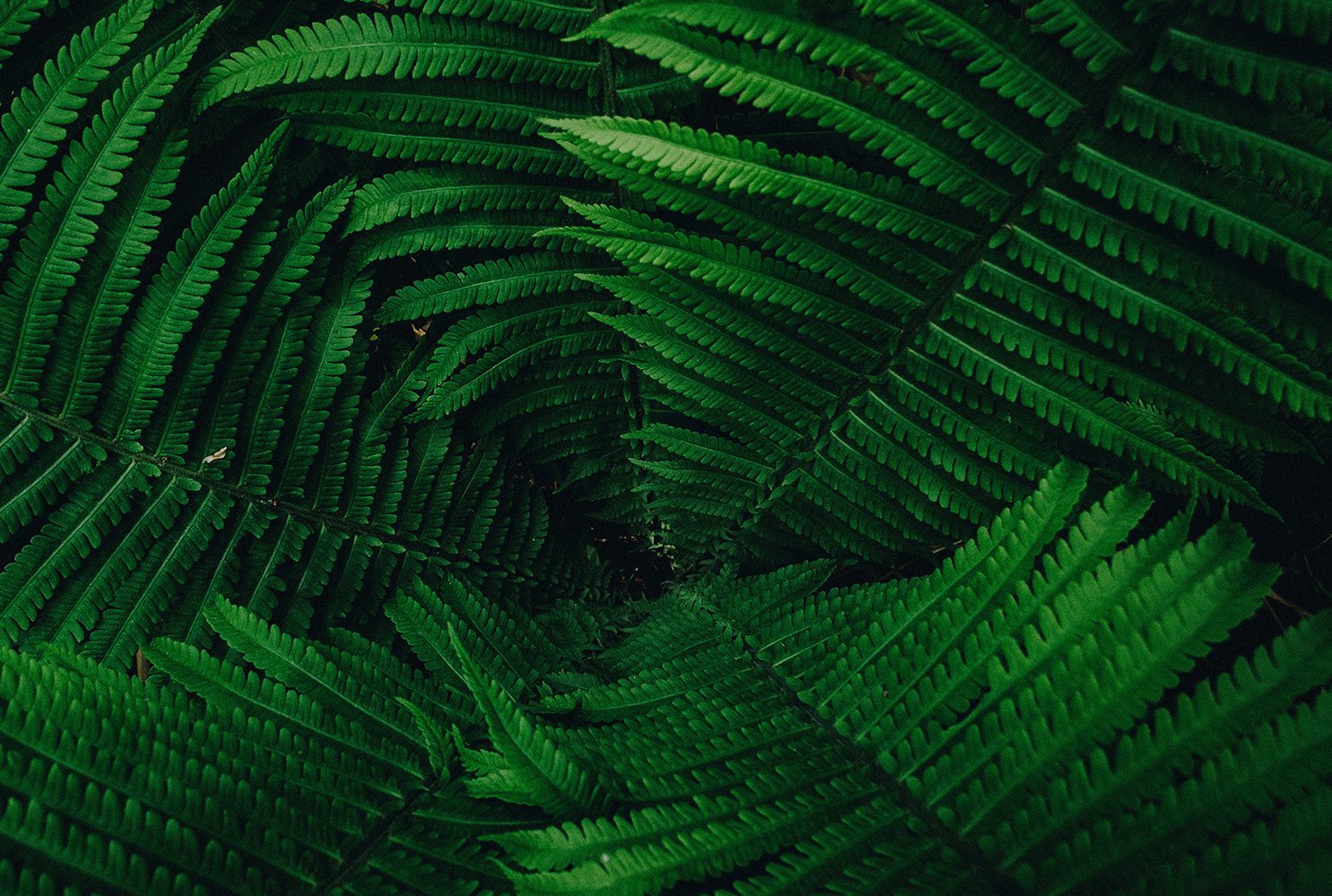 influencer-podróżniczy