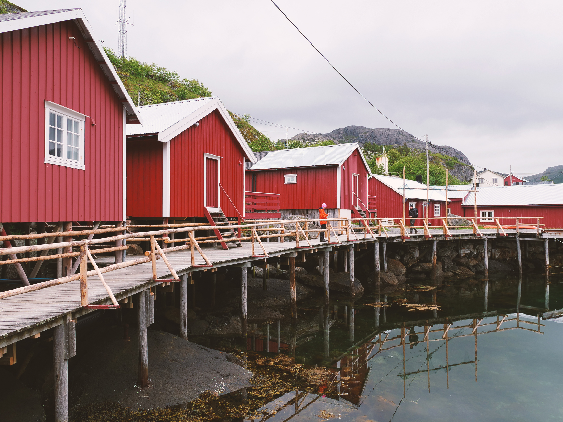 nusfjord lofoty norwegia