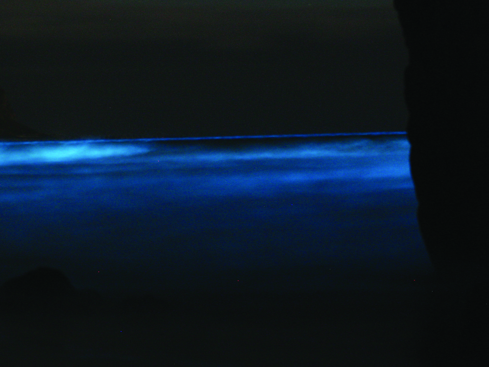 kostaryka bioluminescencja