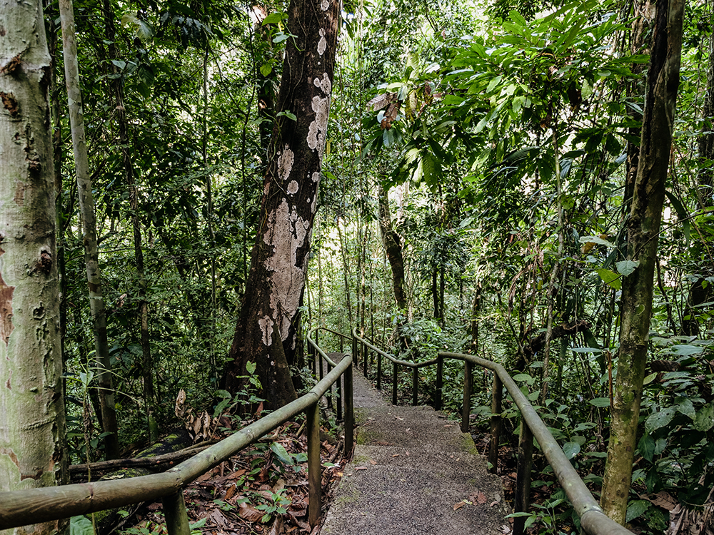 manuel antonio park narodowy kostaryka