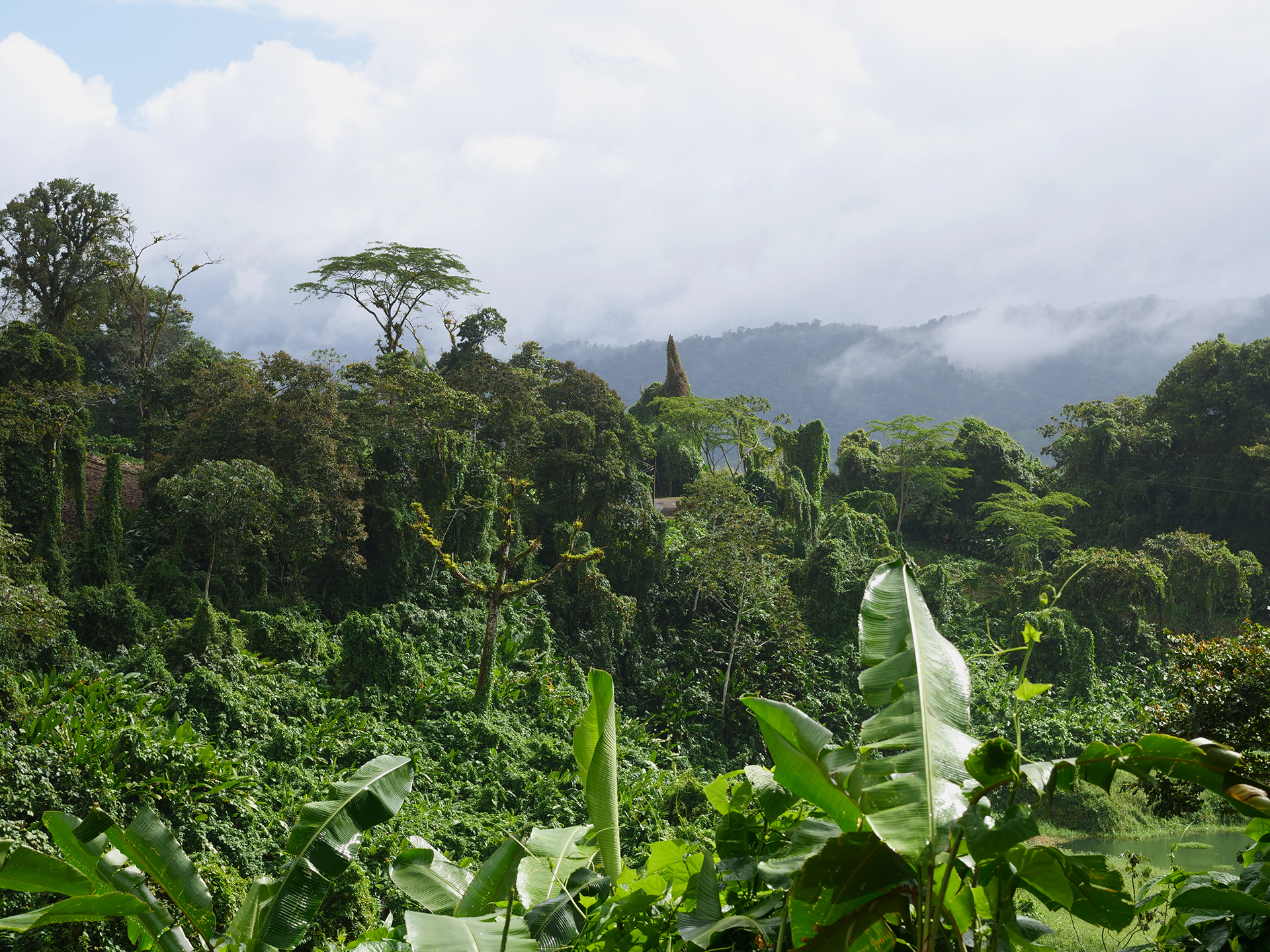 kostaryka gorące źródła tabacon la fortuna