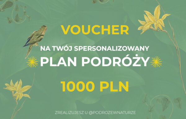 prezent dla podróżnika na święta