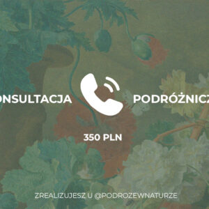 Konsultacja podróżnicza