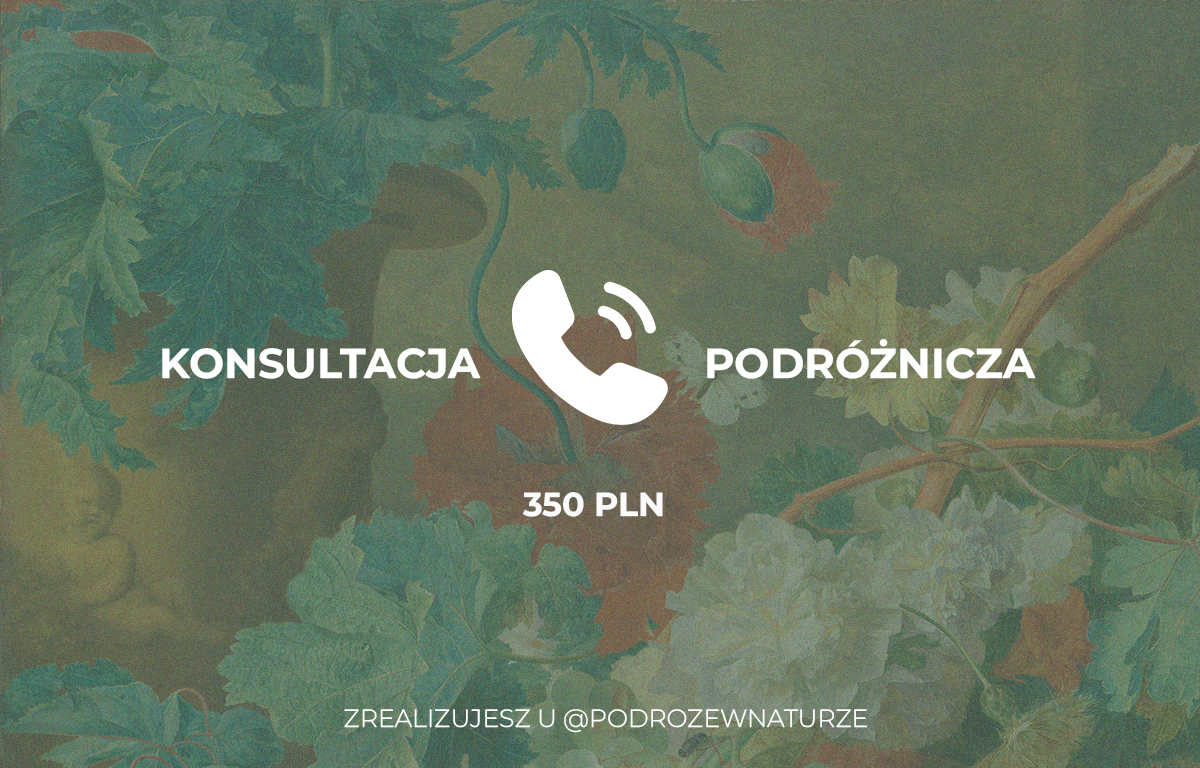Konsultacja podróżnicza