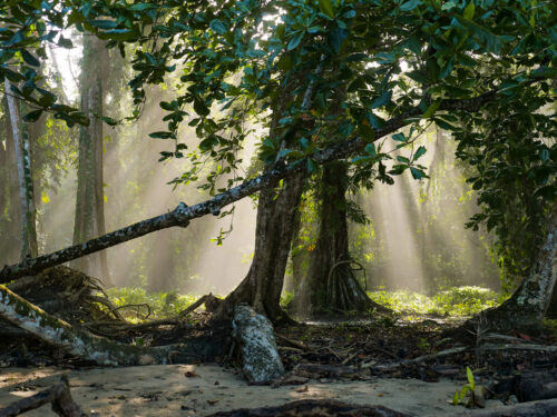 kostaryka karaiby wybrzeze karaibskie ocean atlantycki